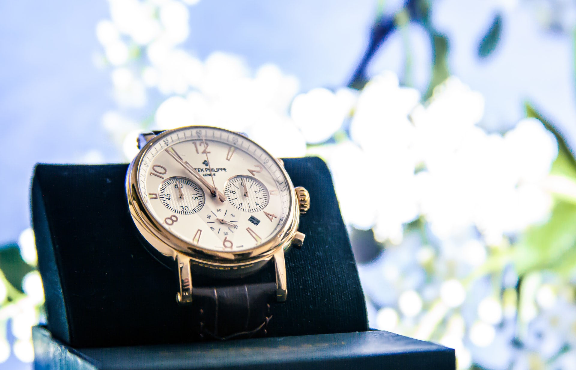 Patek Philippe watches